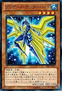 card_7313