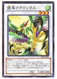 card7699-series17707-rarity1