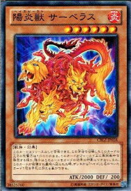 card7957-series18170-rarity1