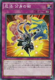 card8012-series17467-rarity1