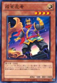 card8425-series19161-rarity1