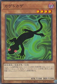 card8572-series5437-rarity1