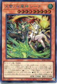 card172134-series74262-rarity5