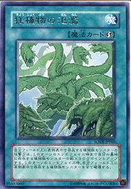 card9667-series22040-rarity62