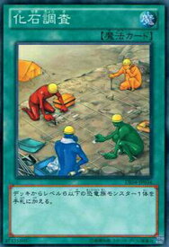 card9793-series18447-rarity1