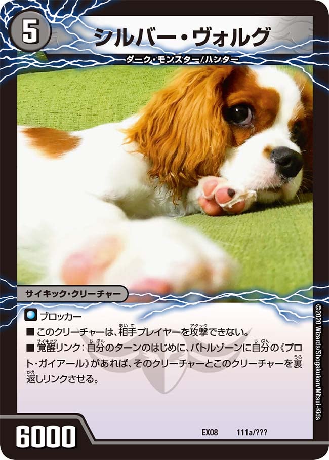 card68311-series65433-rarity223866
