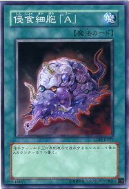 card11074-series26067-rarity1