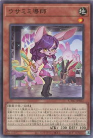card1409-series2877-rarity1