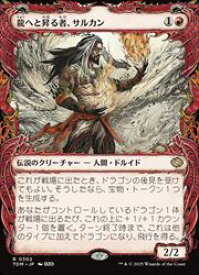 card287453-series165565-rarity323476