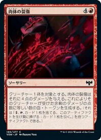 card293645-series171709-rarity323480