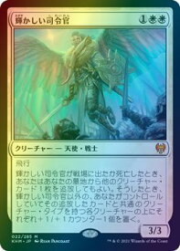 card295060-series173268-rarity323477