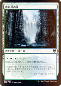 card295304-series173268-rarity323737