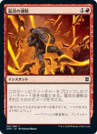 card295599-series173667-rarity323480