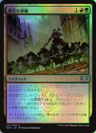 card297174-series175203-rarity323478