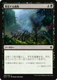 card298129-series176234-rarity323480