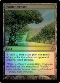 card304387-series182520-rarity323476