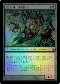 card305234-series183395-rarity323480