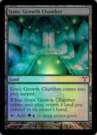 card306518-series184613-rarity323480