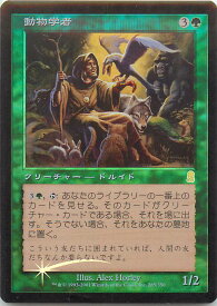 card309470-series187460-rarity323476