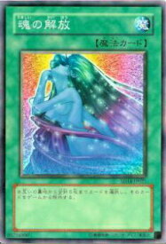 card13110-series24570-rarity1