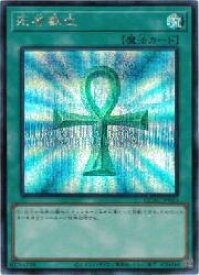 card13406-series2361-rarity5