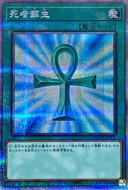 card13406-series36608-rarity8