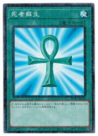 card13406-series6207-rarity6209