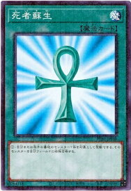 card13406-series6207-rarity6209