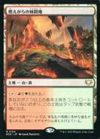 card300178-series201332-rarity323476