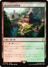 card300178-series202100-rarity323476
