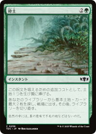card303996-series202544-rarity323480