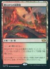 card300178-series202544-rarity323476