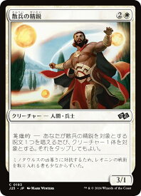 card301108-series204363-rarity323480