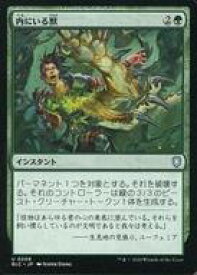 card302962-series205515-rarity323478
