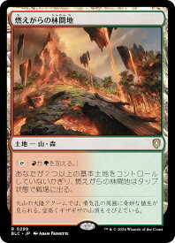 card300178-series205515-rarity323476