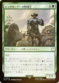 card329286-series207488-rarity323478