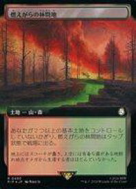 card300178-series207488-rarity323476