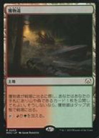 card_299738_series_209908_rarity_323476_