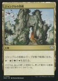card304616-series209908-rarity323478