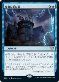 card302666-series212234-rarity323476