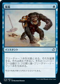card305795-series181346-rarity323478