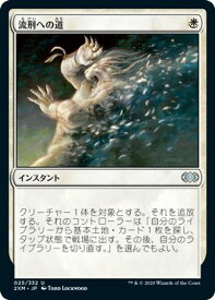 card304260-series181672-rarity323478