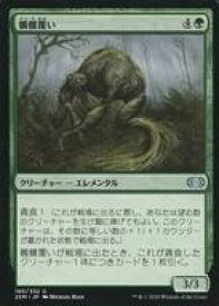 card304538-series181672-rarity323478