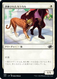 card301946-series180444-rarity323480
