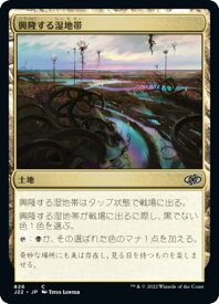 card326866-series180444-rarity323480