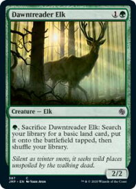 card302548-series226878-rarity323480