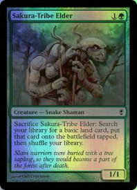 card307558-series227926-rarity323480