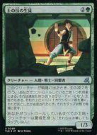 card393490-series271725-rarity323478