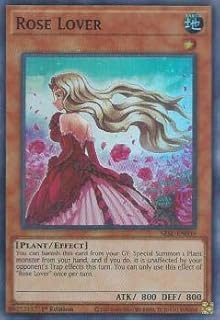 card501895-series373126-rarity540535