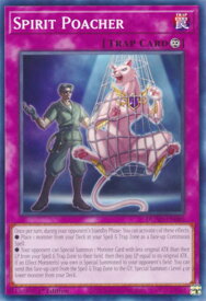 card502581-series373383-rarity540534